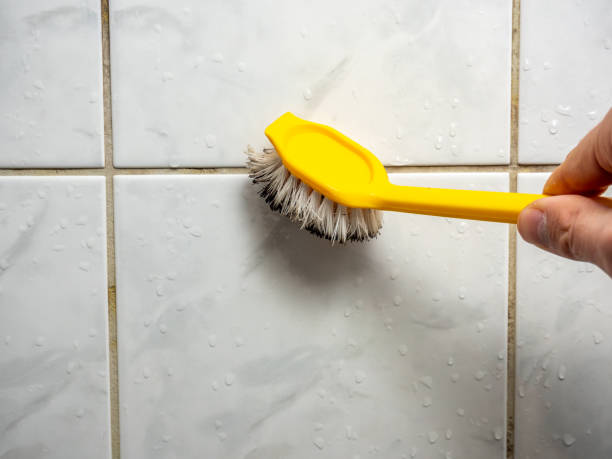  Richton Park, IL Mold Removal Pros