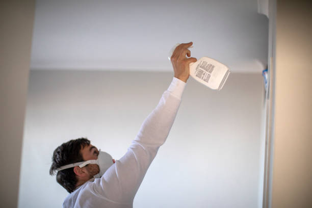 Best Residential Mold Remediation in Richton Park, IL