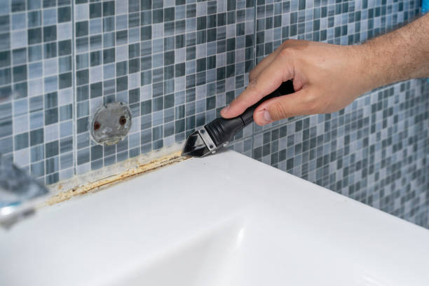 Best Mold Testing and Inspection Services in Richton Park, IL