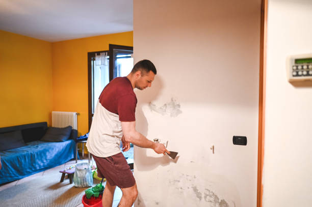 Best Basement Mold Remediation in Richton Park, IL